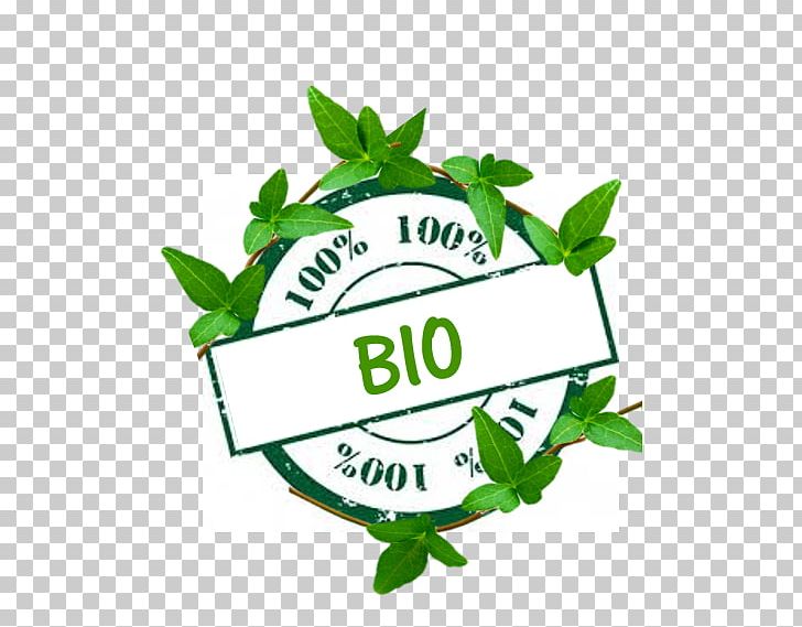 Herbalism Leaf Logo PNG, Clipart, Brand, Henri Barbusse, Herb, Herbalism, Leaf Free PNG Download
