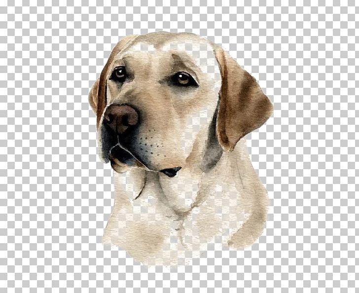 Labrador Retriever Puppy Purebred Dog Watercolor Painting PNG, Clipart, Animal, Animals, Broholmer, Buckle, Carnivoran Free PNG Download