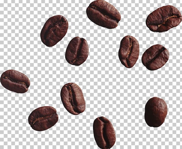 Coffee Bean Tea Cappuccino PNG, Clipart, Arabica Coffee, Bean, Beans, Cafe, Chocolate Free PNG Download
