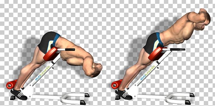 Hyperextension Exercise Fitness Centre Physical Fitness Weight Training PNG, Clipart, Abdomen, Arm, Bodybuilding, Bodyweight Exercise, Exercise Free PNG Download