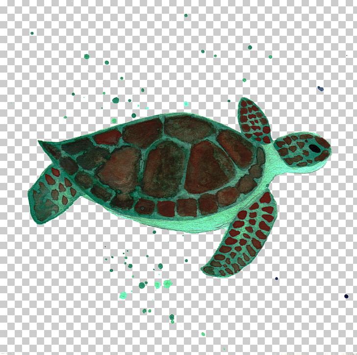 Loggerhead Sea Turtle Reptile Marine Biology PNG, Clipart, Animal, Animals, Aquatic Animal, Deep Sea Creature, Emydidae Free PNG Download