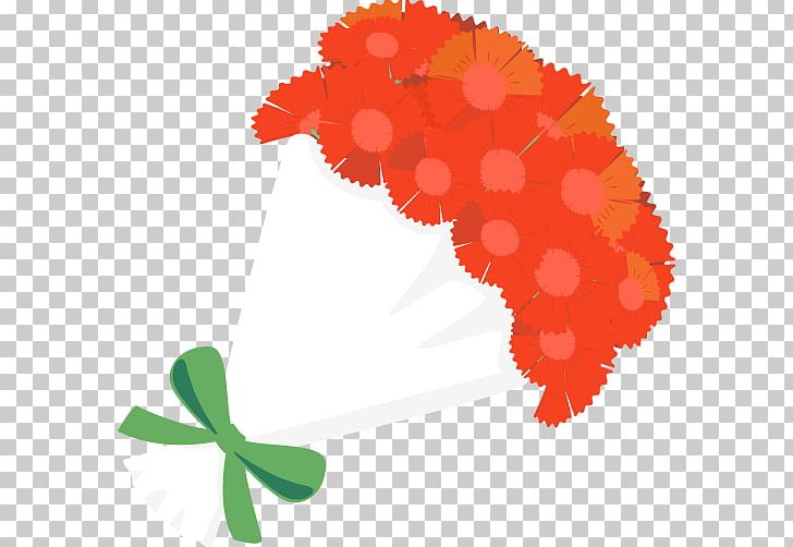 Mothers Day Carnation Flower . PNG, Clipart, Flower, Flowering Plant, Leaf, Orange, Others Free PNG Download