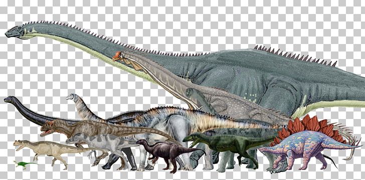 Dinosaur Size Morrison Formation Argentinosaurus Stegosaurus Allosaurus PNG, Clipart, Amphicoelias, Animal Figure, Brachiosaurus, Dinosaur, Dinosaur Size Free PNG Download