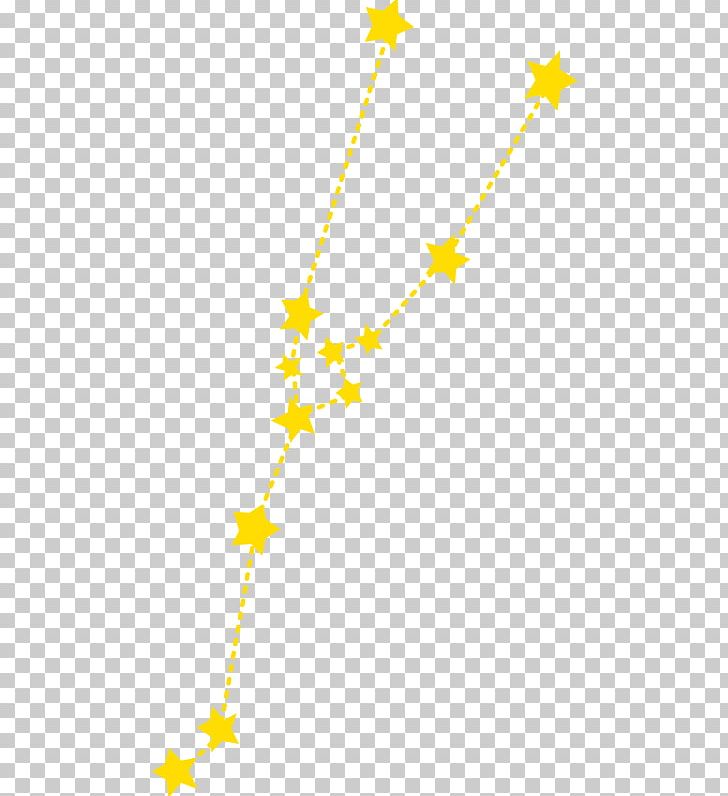 Graphics Illustration PNG, Clipart, Angle, Area, Branch, Computer Icons, Constellation Free PNG Download