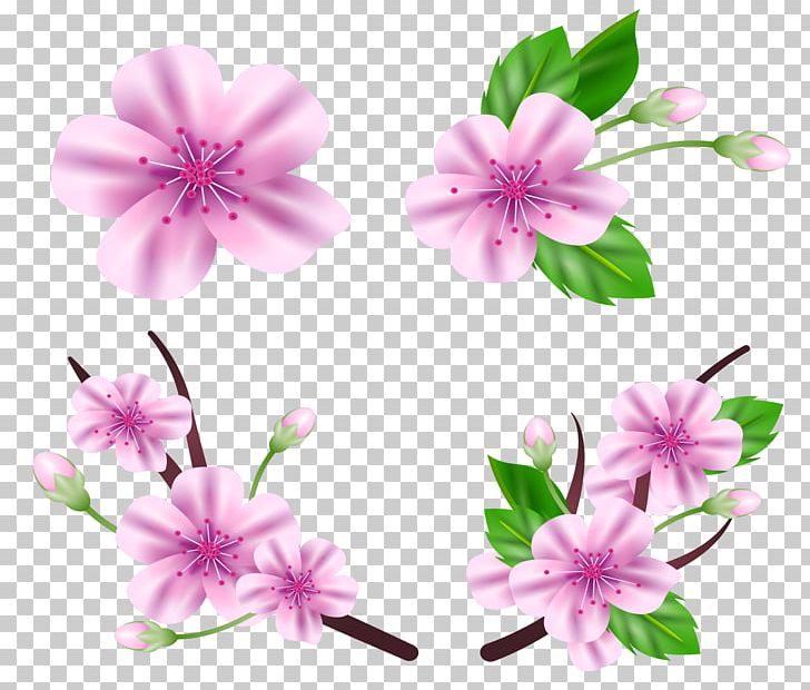 National Cherry Blossom Festival Floral Design PNG, Clipart, Cherry, Encapsulated Postscript, Festival Vector, Flower, Flower Arranging Free PNG Download