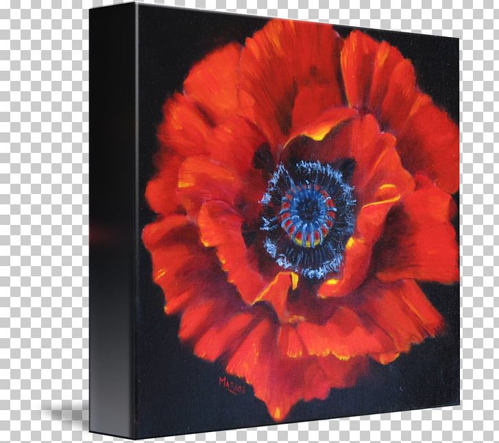 Remembrance Poppy Art Transvaal Daisy Raum PNG, Clipart, Art, Flower, Flowering Plant, Gerbera, Mug Free PNG Download