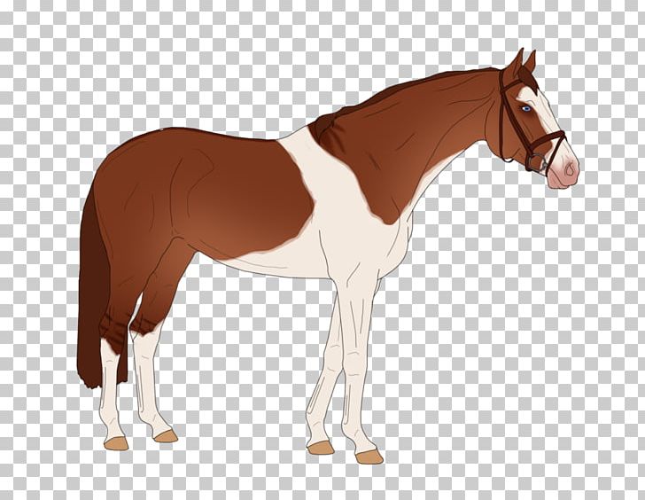 Stallion Mare Foal Colt Mane PNG, Clipart, 25th Century, Animal Figure, Bridle, Colt, Foal Free PNG Download