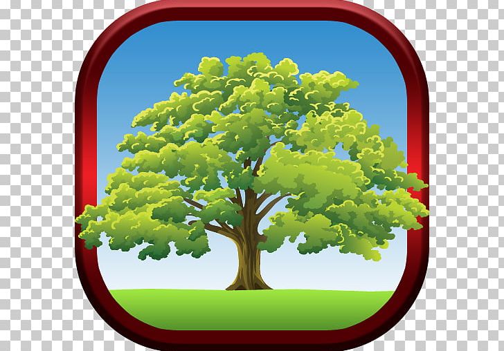 Tree Oak Drawing Biome Sky Limited PNG, Clipart, Biome, Care, Drawing, Grass, Harvey Free PNG Download