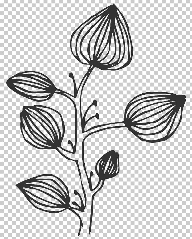 Floral Black Line Art. PNG, Clipart, Artwork, Bach Flower Remedies, Black, Black And White, Blog Free PNG Download