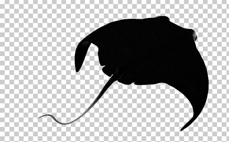 Manta Ray Myliobatoidei PNG, Clipart, 3d Computer Graphics, Batoidea, Beak, Black, Black And White Free PNG Download