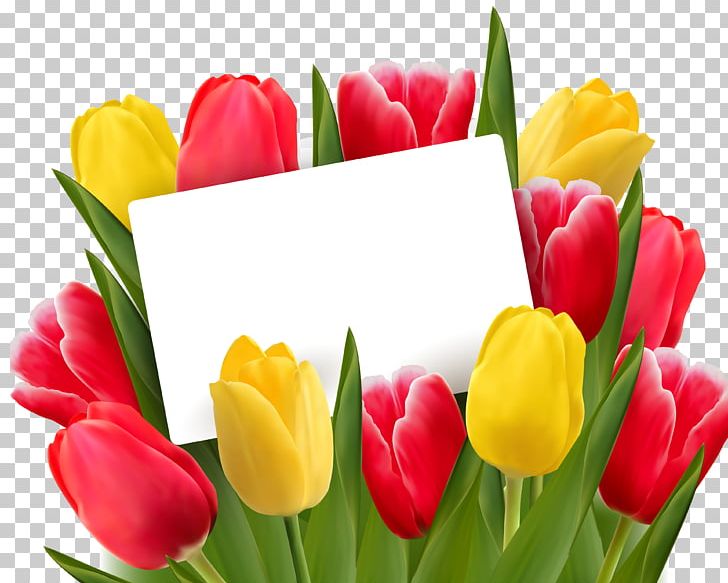 Tulip Cut Flowers PNG, Clipart, Clip Art, Cut Flowers, Desktop Wallpaper, Floral Design, Floristry Free PNG Download