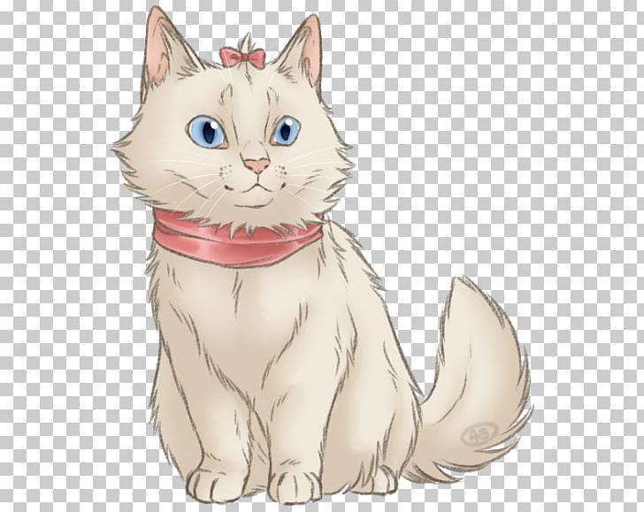 Whiskers American Wirehair Kitten Domestic Short-haired Cat Tabby Cat PNG, Clipart, Animals, Canidae, Carnivoran, Cartoon, Cat Free PNG Download