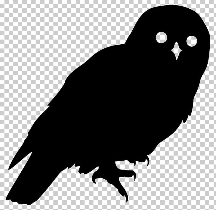 Barred Owl Silhouette PNG, Clipart, Animals, Barred Owl, Beak, Bird, Bird Of Prey Free PNG Download