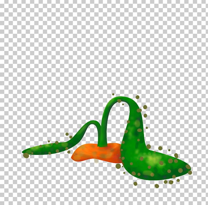 Reptile Amphibian PNG, Clipart, Amphibian, Animals, Farming Game, Organism, Plant Free PNG Download