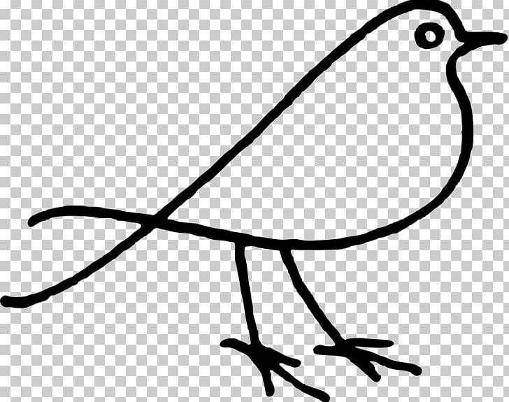 Bird Doodle Drawing PNG, Clipart, Animals, Artwork, Beak, Bird, Black And White Free PNG Download