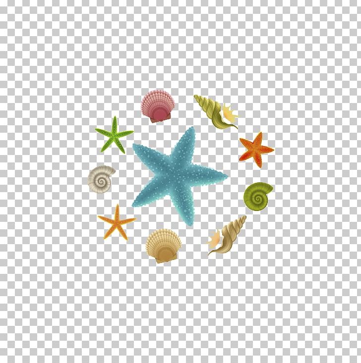Starfish PNG, Clipart, Animal, Biological, Cdr, Clip Art, Creature Free PNG Download