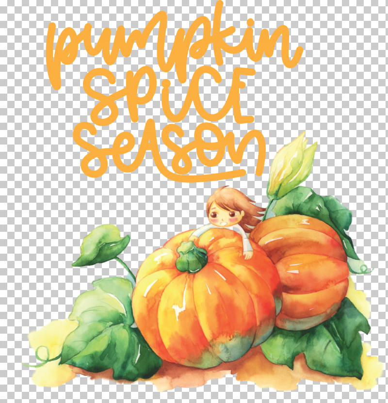 Autumn Pumpkin Spice Season Pumpkin PNG, Clipart, Autumn, Cartoon, Cucurbita Maxima, Cucurbits, Drawing Free PNG Download