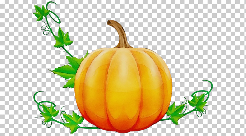 Pumpkin PNG, Clipart, Art Gallery, Cartoon, Paint, Pumpkin, Squash Free PNG Download