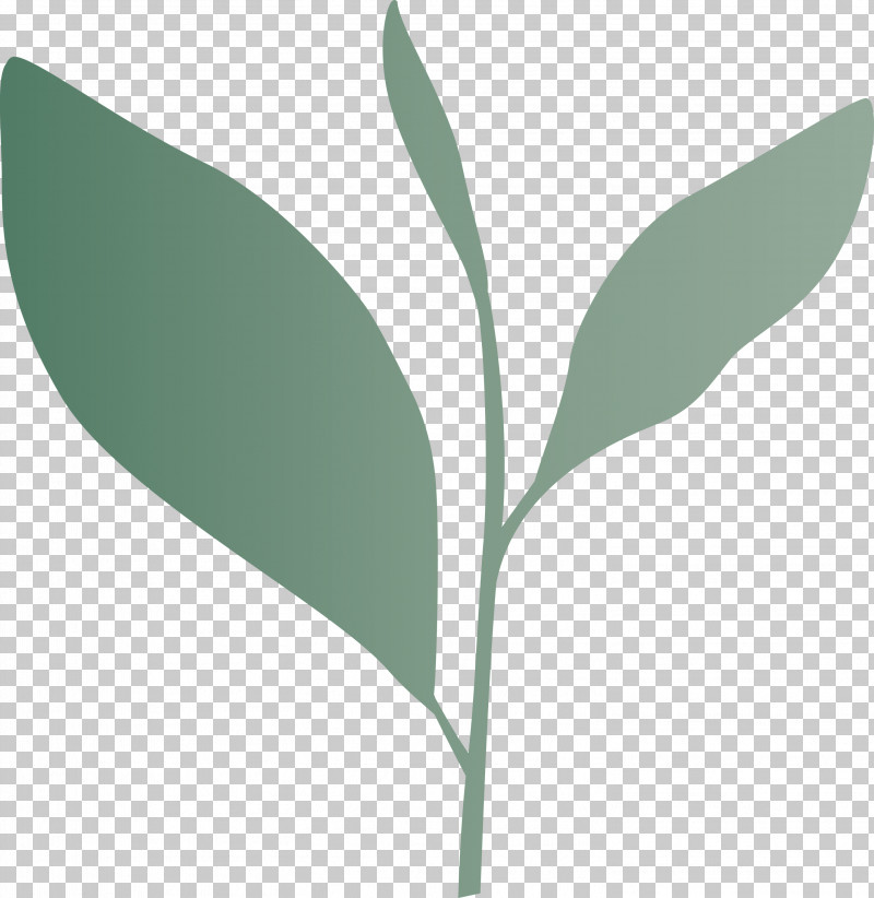 Tea Leaves Leaf Spring PNG, Clipart, Eucalyptus, Flower, Leaf, Plant, Plant Stem Free PNG Download