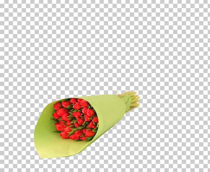 Flower PNG, Clipart, Flower, Lale, Lale Resimleri, Nature, Resimleri Free PNG Download