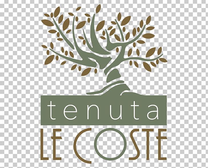 Tenuta Le Coste S.R.L. Aix-en-Provence Amazon.com Amazon Alexa Olive PNG, Clipart, Agriculture, Aixenprovence, Amazon Alexa, Amazoncom, Branch Free PNG Download