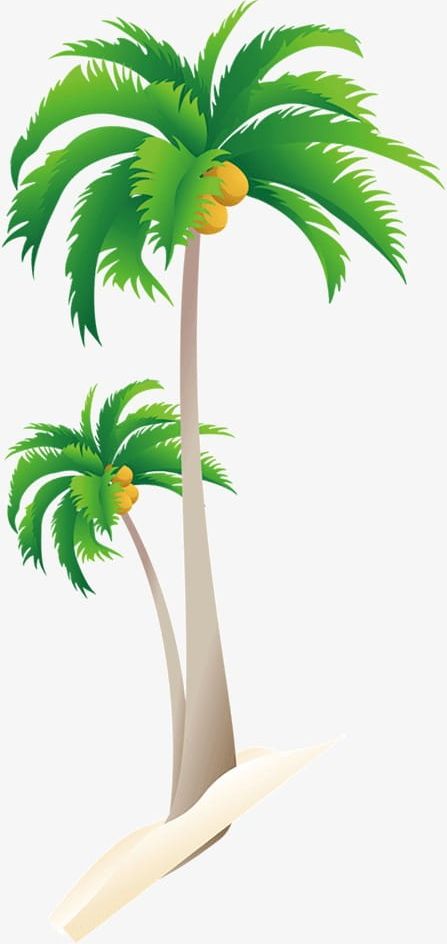 Coconut Palm Trees PNG, Clipart, Coconut, Coconut Clipart, Coconut Clipart, Coconut Tree, Number Free PNG Download