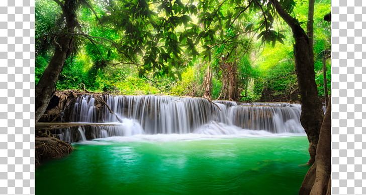 Landscape Waterfall Spring Mural PNG, Clipart, Body Of Water, Computer Wallpaper, Creek, Desktop Wallpaper, Forest Free PNG Download