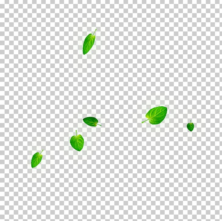 Leaf PNG, Clipart, Angle, Area, Autumn, Background Green, Branch Free PNG Download