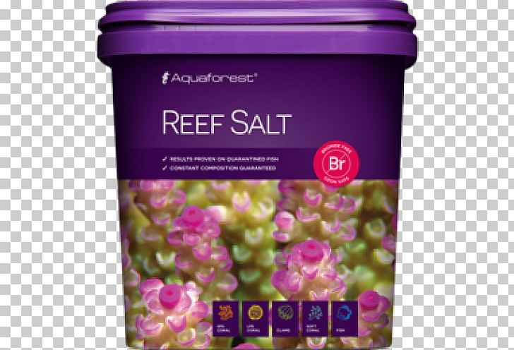 Reef Aquarium Salt Probiotic Coral Reef PNG, Clipart, Aquaforest, Aquarium, Coral, Coral Reef, Lilac Free PNG Download