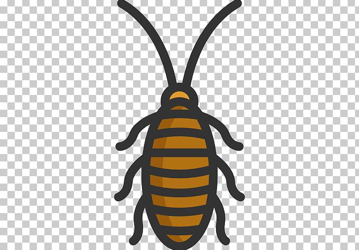 Cockroach Insect Honey Bee Computer Icons Pest Control PNG, Clipart, Acari, Animal, Animal Kingdom, Animals, Arthropod Free PNG Download