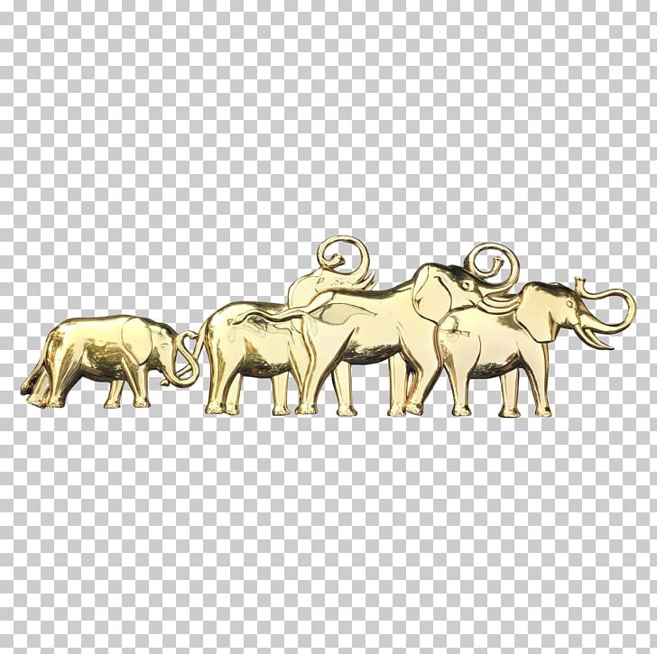 Gold Frames Wall Shadow Box Body Jewellery PNG, Clipart, Art, Big Cats, Body Jewellery, Body Jewelry, Carnivoran Free PNG Download