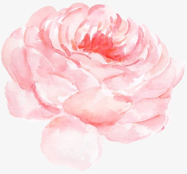Peony Flower Watercolor Pattern PNG, Clipart, Backgrounds, Beau, Decoration, Flower, Flower Clipart Free PNG Download