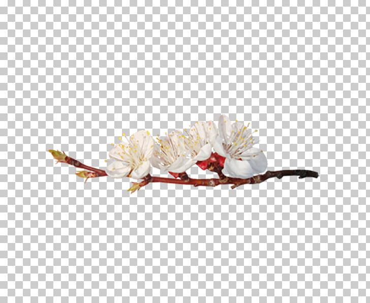 Bir U0130nsan Xd6mrxfcnxfc PNG, Clipart, Adobe Illustrator, Decoration, Encapsulated Postscript, Flower, Flower Bouquet Free PNG Download