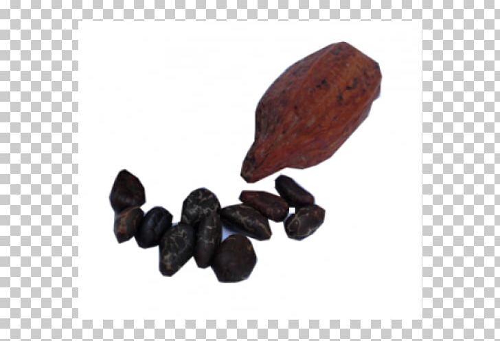 Cocoa Bean Theobroma Cacao Organic Food Flavor Bitterness PNG, Clipart, Baking, Bitterness, Cocoa Bean, Coffee Bean, Comentario Free PNG Download