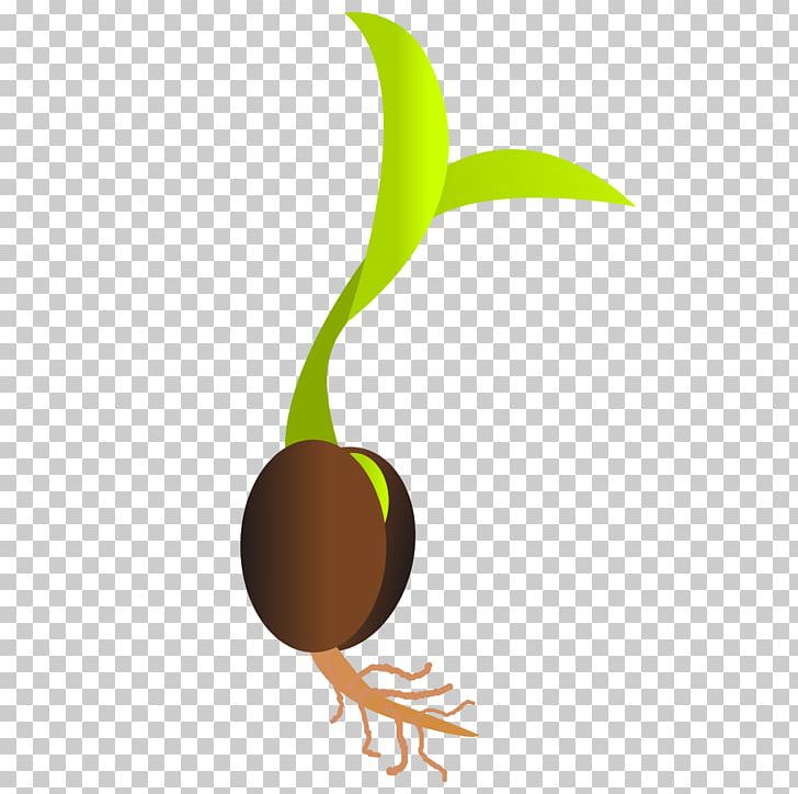 Seed Sprouting Germination PNG, Clipart, Black Beans, Bud, Computer Icons, Computer Wallpaper, Food Free PNG Download