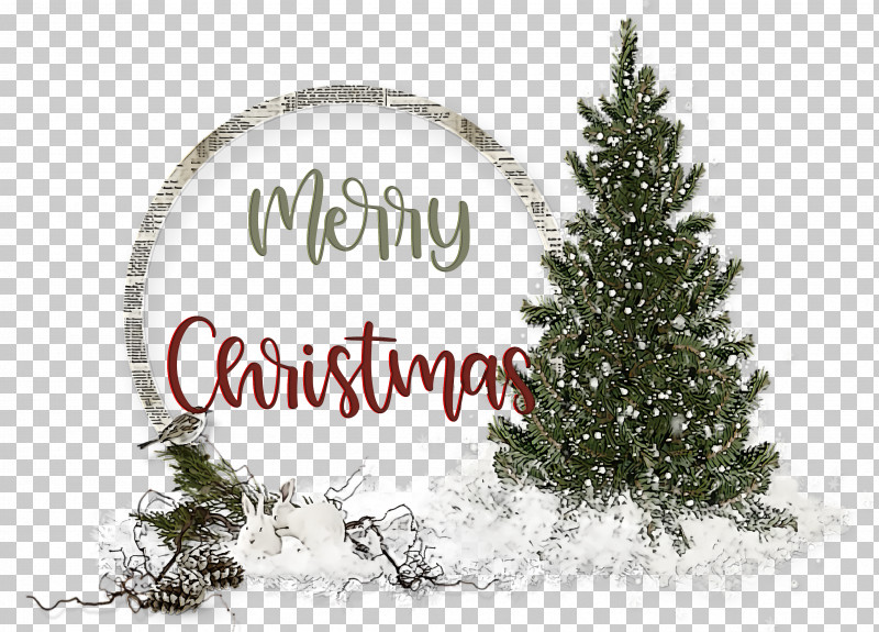 Merry Christmas PNG, Clipart, Branch, Christmas Day, Christmas Tree, Merry Christmas, Pine Free PNG Download