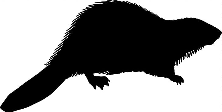 Beaver Silhouette PNG, Clipart, Animal, Beak, Beaver, Black And White, Carnivoran Free PNG Download