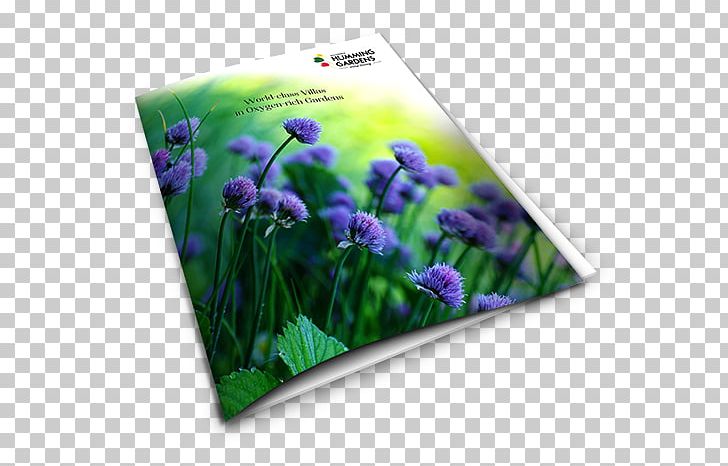 Flower PNG, Clipart, Flora, Flower, Grass, Plant, Purple Free PNG Download