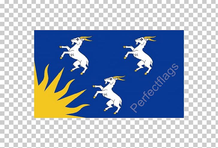 Merionethshire Flag Of Wales Meirionnydd Flag Of Wales PNG, Clipart, Blue, County, County Town, Flag, Flag Of Wales Free PNG Download