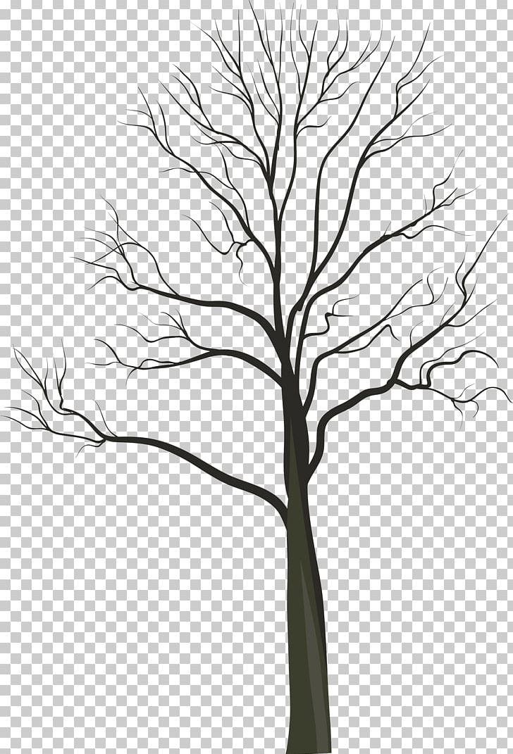 Tree Photography PNG, Clipart, Artwork, Black And White, Branch, Digital Image, Download Free PNG Download