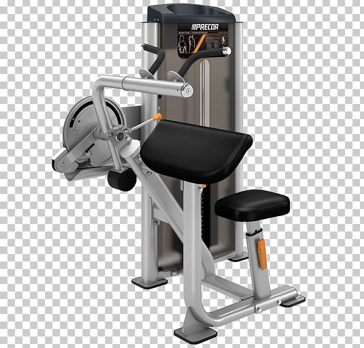 Biceps Curl Triceps Brachii Muscle Exercise Precor Incorporated PNG, Clipart, Aerobic Exercise, Bench, Biceps, Biceps Curl, Exercise Free PNG Download