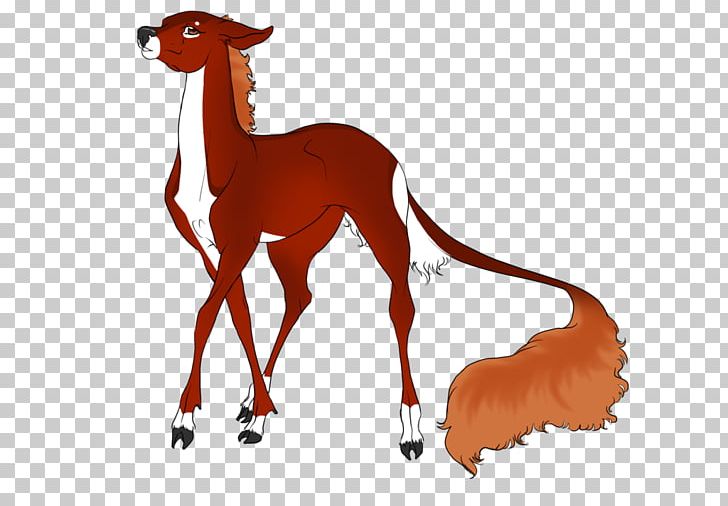 Italian Greyhound Horse Deer PNG, Clipart, Camel, Camel Like Mammal, Carnivoran, Deer, Dog Free PNG Download