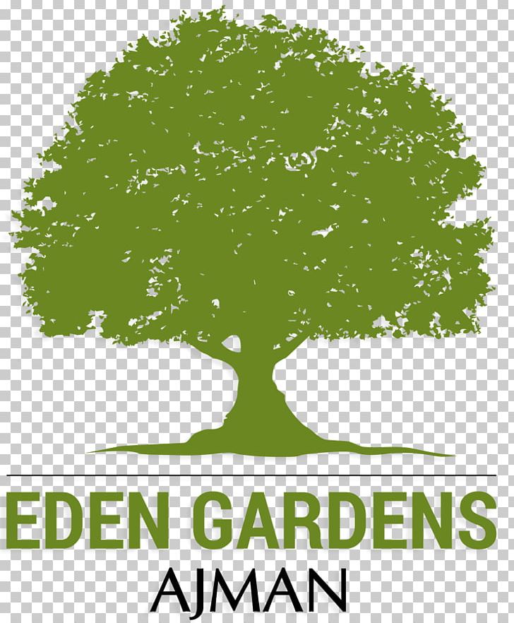 Oak Tree PNG, Clipart, Branch, Brand, Computer Wallpaper, Grass, Green Free PNG Download