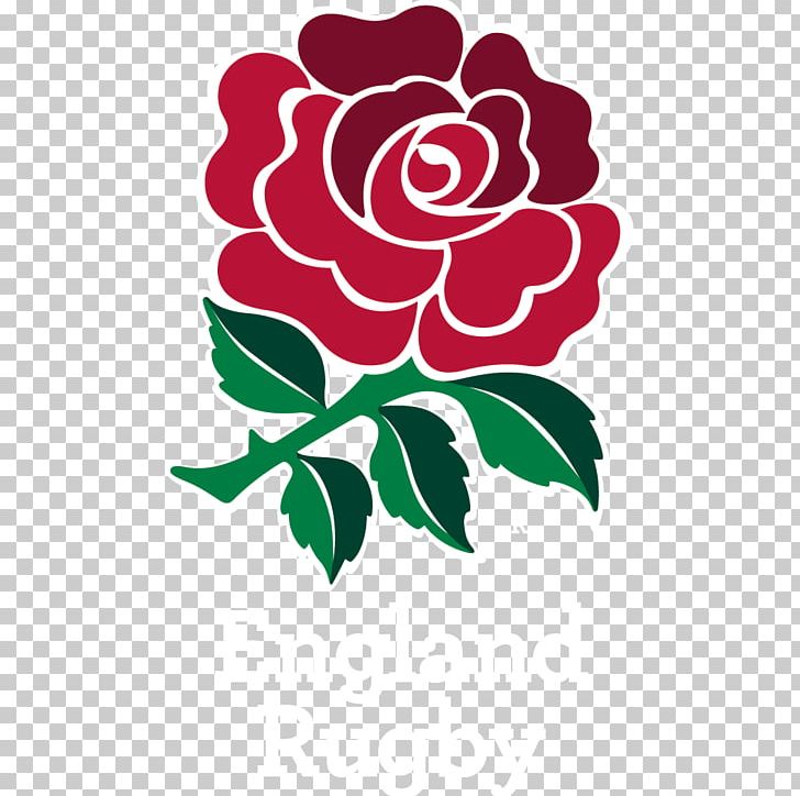 England National Rugby Union Team Irish Rugby Six Nations Championship Wales National Rugby Union Team Twickenham Stadium PNG, Clipart, 2015 Rugby World Cup, Flower, Flower Arranging, Leaf, Miscellaneous Free PNG Download