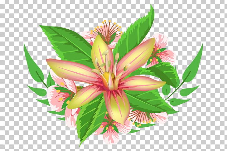 Flower Animaatio Floral Design PNG, Clipart, 2018, Alstroemeriaceae, Animaatio, Blog, Color Free PNG Download