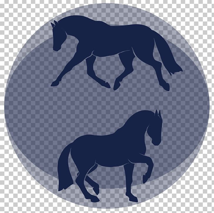 Mustang Hof Ivre Mort Claudia U. Wolfgang Block Equestrian Stallion Pony PNG, Clipart, Dressage, Equestrian, Fictional Character, Horse, Horse Like Mammal Free PNG Download