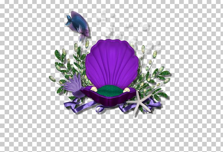 Sea Great Scallop PNG, Clipart, Fish, Flower, Flowering Plant, Gratis, Great Scallop Free PNG Download