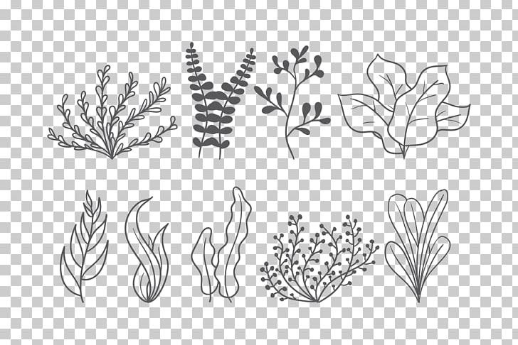 Seaweed Leaf PNG, Clipart, Angle, Area, Autumn Leaf Color, Black, Black And White Free PNG Download