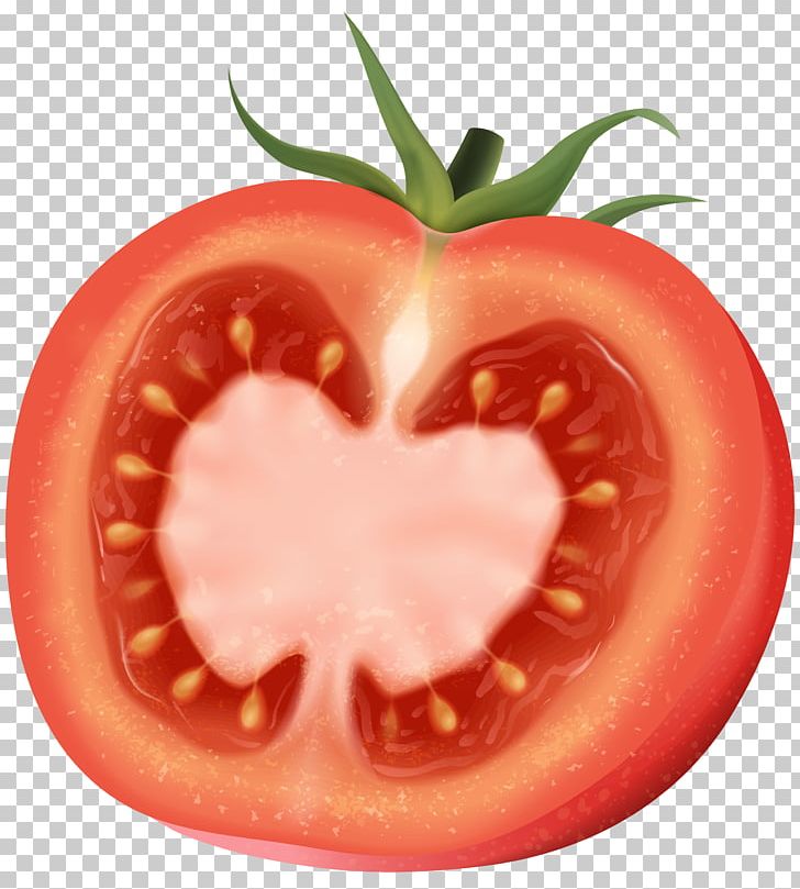 Plum Tomato PNG, Clipart, Art, Art Museum, Bush Tomato, Cartoon, Diet Food Free PNG Download