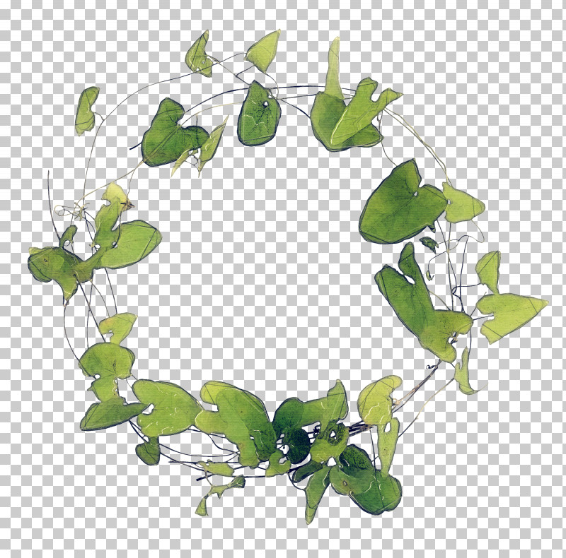 Green Leaf Ring Branch Transparency Twig PNG, Clipart, Branch, Flower, Green Leaf Ring, Ivy, Leaf Free PNG Download